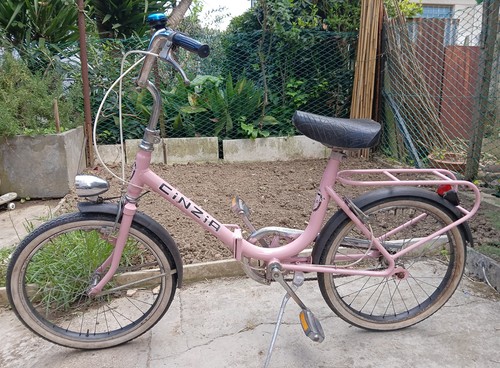 Bicicletta pieghevole cinzia - bicicletta,