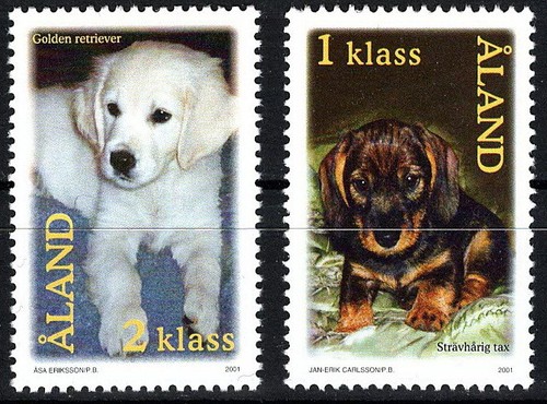 Aland hundewelpen satz - aland,