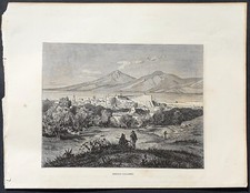 Stampa antica 1891 palmiro