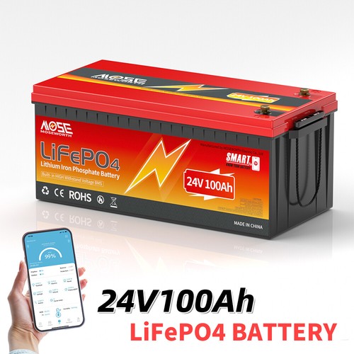 Batteria litio 24v 100ah - batteria,