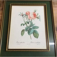 Stampa artistica rosa