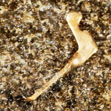 NOS Walco W-94MGD ago