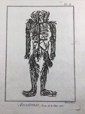 Angiologia 1779 Anatomia