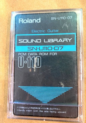 Roland u110 chitarra - roland, sn-u110-07