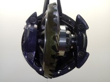 38X13 R780 2.92 DIFFERENZIALE