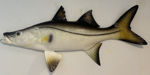 Snook decorazione parete - snook,,