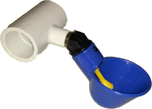 Tazze abbeveratoio acqua - abbeveratoio,
