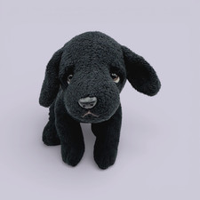 Black labrador cucciolo - black,
