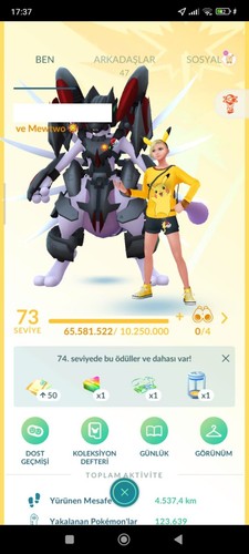 Pokémon livello lvl - pokémon,