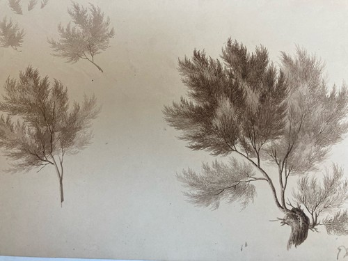 Disegno xix 1820 inchiostro - xix,