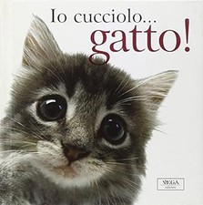 Io cucciolo... gatto!