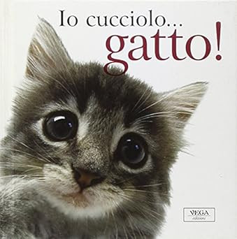 Cucciolo gatto - cucciolo..., gatto!