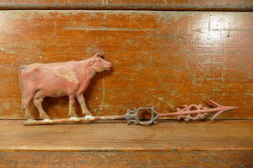 Antica prima mucca primitiva