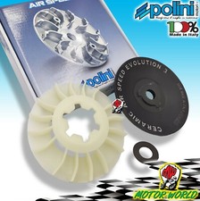 SEMIPULEGGIA FISSA POLINI