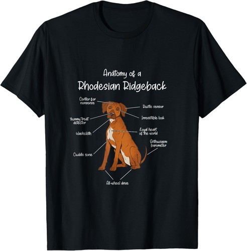 Anatomia rhodesian - anatomia, un