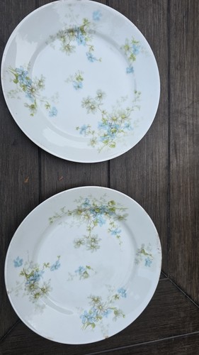 Théodore haviland limoges - haviland,
