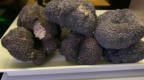 Tartufo nero estivo - estivo, 100g
