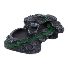 Piattaforma basking tartaruga