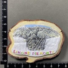 Calamita frigo resina 3D