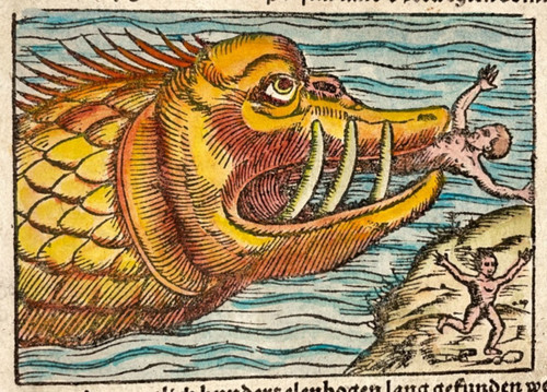 Mostro marino norvegia 1564 - marino,