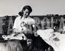 Foto vintage fattrice si prende cura delle sue mucche, stampa 20 x 15 cm