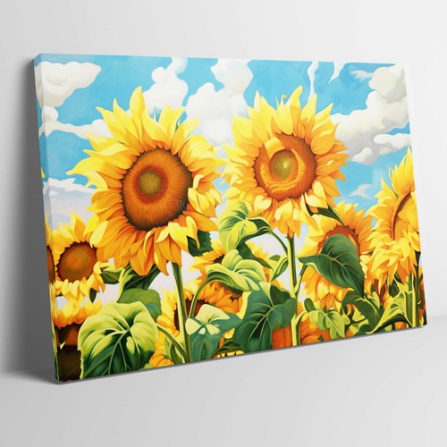 Splendido campo girasoli - splendido, di