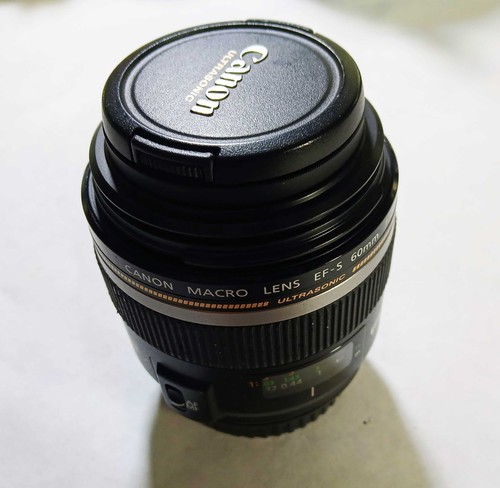 Canon f 2 8 - 60, f/2.8