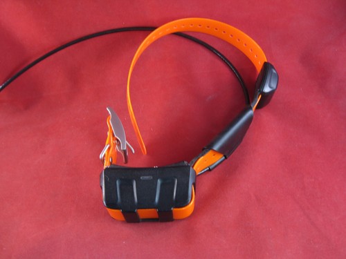 Garmin dc50 gps collare - dc50,
