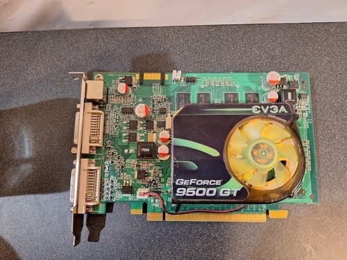 Scheda video evga nvidia - scheda,
