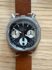 Testa di toro Citizen vintage