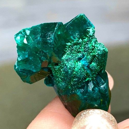 Esemplare minerale grappolo - esemplare,
