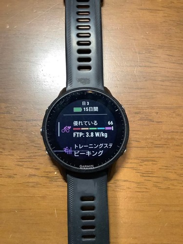 Garmin forerunner 955 gps - forerunner,