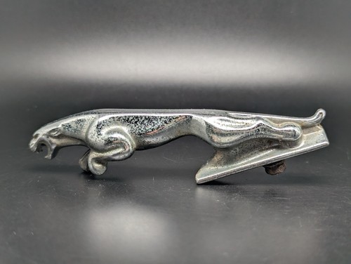 Jaguar 7242653 logo - xj,