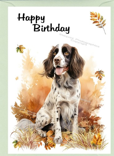 Biglietto compleanno springer - compleanno,