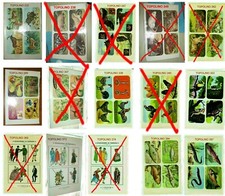 topolino pagina figurine