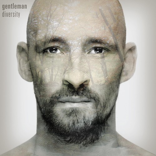 Gentleman diversity - diversity, (vinyl