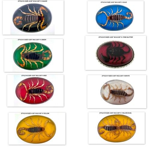 Fibbia cintura scorpione vero