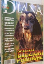 DIANA 9 2001 Segugio italiano Lepre Forcelli coturnici Fagiano Problema Corvidi