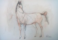 Quadro "Cavallo" carta 30 x 42