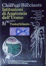 Chiarugi bucciante IATITUZIONI