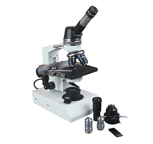 Microscopio contrasto di - microscopio,