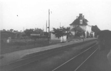 Foto REPRO 15x10 04. Polonia