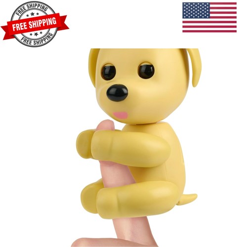 Adopt dog interactive - dog,,