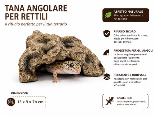 Tana angolare per rettili - angolare,