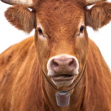  2 Pcs Campana Forte Di Bronzo