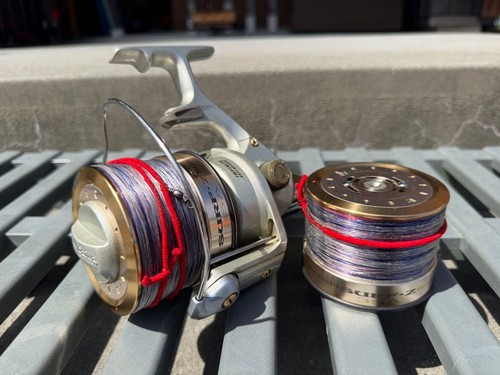 Mulinello spinning daiwa - mulinello,
