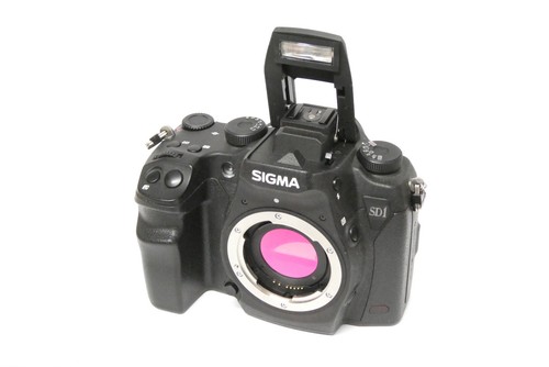 Case body sigma sd1 merrill - sigma,