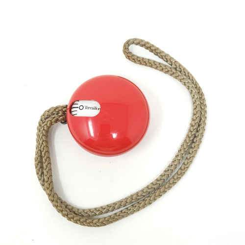 Timer terraillon galet - timer, "galet"