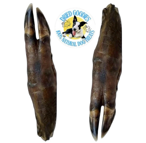 Piedi di cinghiale - piedi,