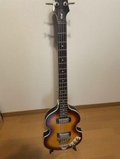 Custodia morbida Epiphone